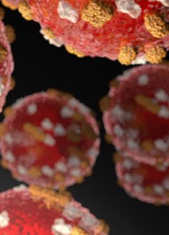 An image of what the measles virus looks like in the body.